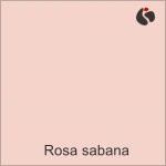 Rosa sabana